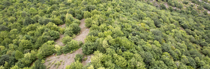 Fototapeta na wymiar Forest landscape. The landscape in Armenia (Tatev). Forest in mountains top view. 