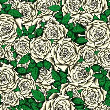 Roses a background