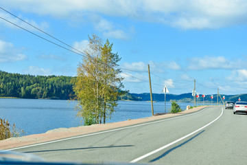 Summer road in Russian forest