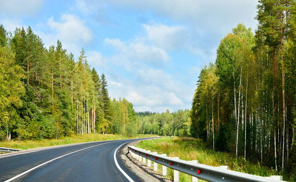 Summer road in Russian forest