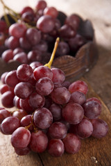 Fototapeta premium Grape