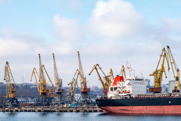 сargo cranes in the port