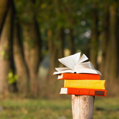 Stack of books and Open hardback book on blurred nature landscape backdrop. Copy space, back to school. Education background.