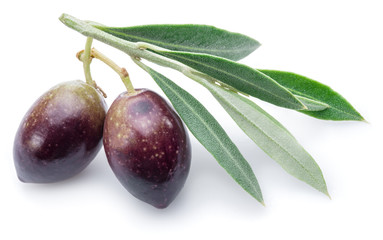 Two fresh olives with leaves on the white background.