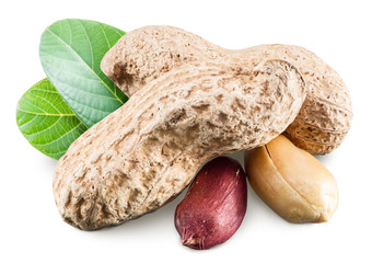 Peanuts with leaves.