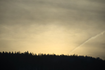 Obraz premium Dunkler waldrand im Sonnenschein am Abend