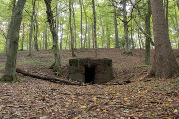 Protection building in the forest  