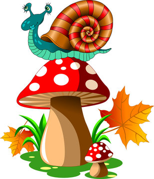 snail on mushroom