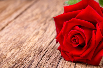Red rose on rustic wooden background