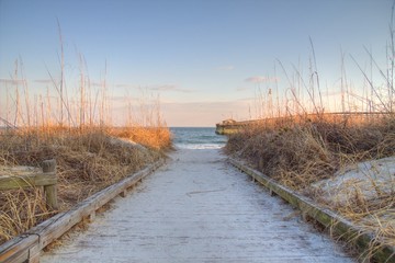 Obraz premium Atlantic Ocean Background. Boardwalk through dune grass to the Atlantic Ocean with a pier in the background. Myrtle Beach, South Carolina. 