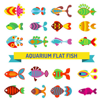 Aquarium flat style fishes vector icons