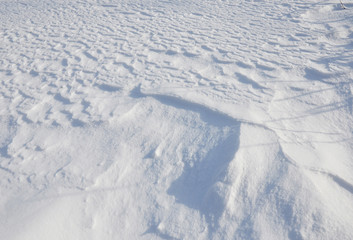 Snow Textured Background