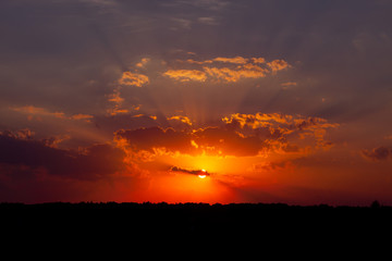 Fototapeta na wymiar summer sunset in the field. a hot evening.