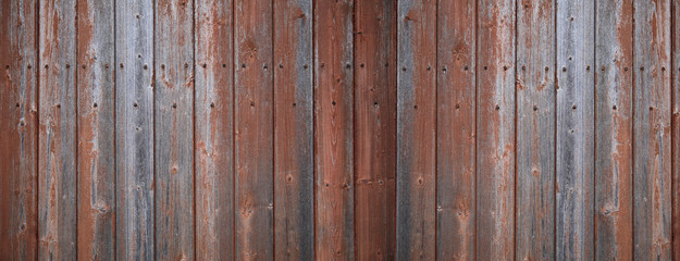 Wood TExture