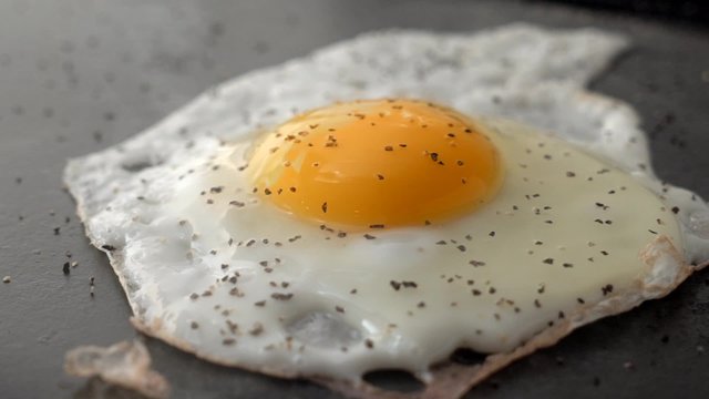 Frying Egg Slow Motion
