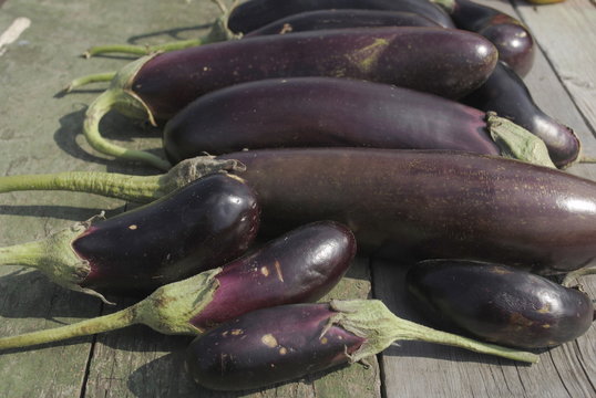 eggplant aubergine vegetable