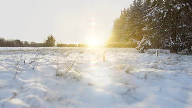 Aerial 4K - Ultra HD: Birds eye view on beautiful silent forrest landscape in snow winter with sun light and awesome lens flares.