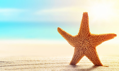 Fototapeta na wymiar Summer beach with a starfish on a background of the tropical ocean