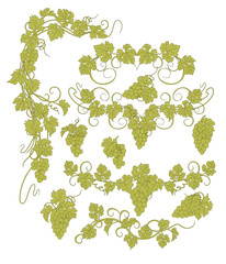 Design elements with bunches of grapes and vines in vintage style.