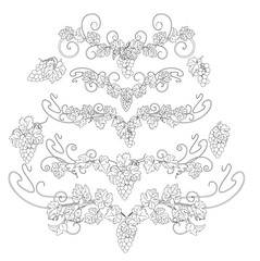 Design elements with bunches of grapes and vines in vintage style.