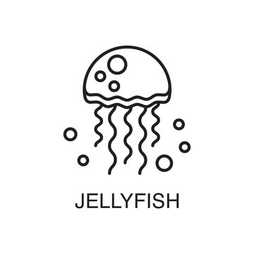 Line art jellyfish under water illustration.