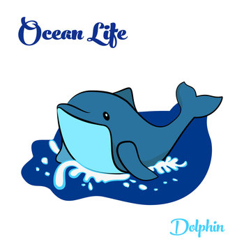 Blue dolphin in the ocean
