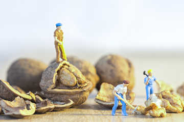 Kleine Menschen stehen auf Walnüssen und arbeiten mit Bauwerkzeugen als Nussknacker