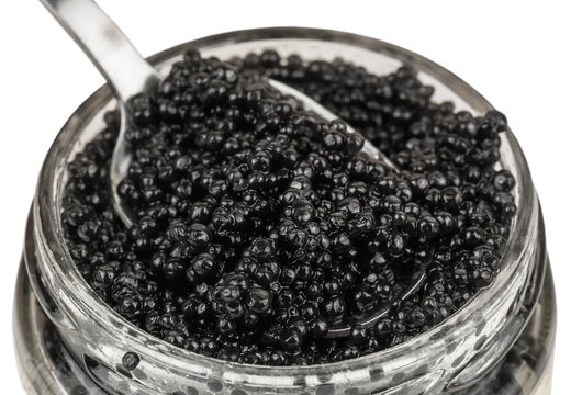 black caviar in the jar
