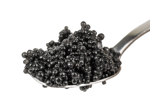 black caviar on white background