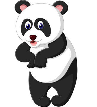 illustration of cute panda cartoon