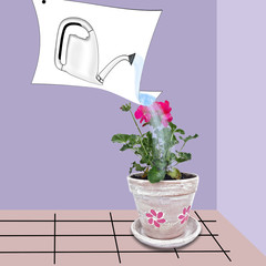 Watering cans and flowerpot