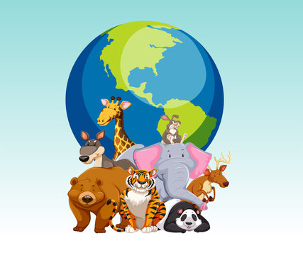 Wild animals and the world