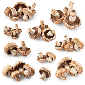Set of mushrooms