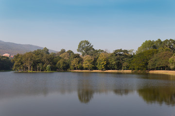 Fototapeta na wymiar mountain and the pond in the park