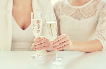 close up of lesbian couple with champagne glasses