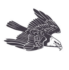 Obraz premium Hand drawn eagle.