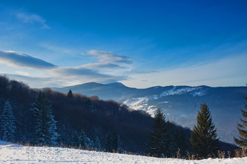 Fototapeta na wymiar Ukrainian winter mountains landscape. Carpathians