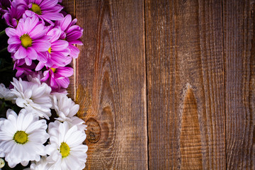 Pink and white oxeye daisy flowers bouquet on wooden background.