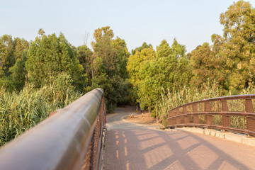 view of the field with trees