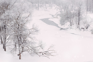 River in forest with hoarfrost, copy space