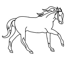 The silhouette of a horse gallop (black outline)