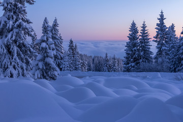 Fototapeta na wymiar Snow covered moraine in the forest