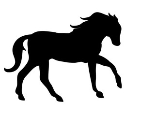 Fototapeta na wymiar The silhouette of a horse gallop (black)