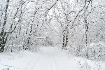 Winter road