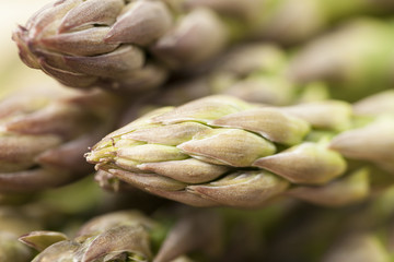 Gr&uuml;ne Spargeknospen Nahaufnahme