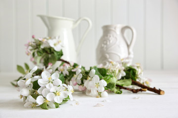 Apple tree branches in a vase
