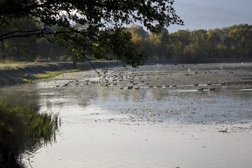 Frosty morning landscape with lake