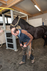 changement de fer à cheval, pose d'un fer au pied du cheval par le maréchal-ferrant, qui est aussi vétérinaire.