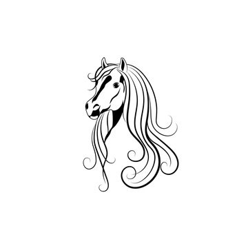 Vector illustration of Horse head in black and white style.
