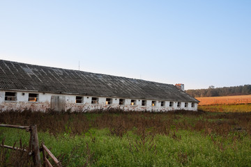 Abandoned cowshed